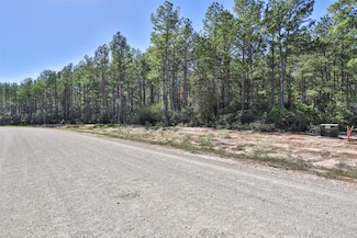 15409 Forest Grove Dr, Willis, TX 77378