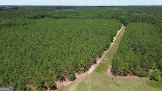 0 W River Rd Unit 10555489, Milan, GA 31077