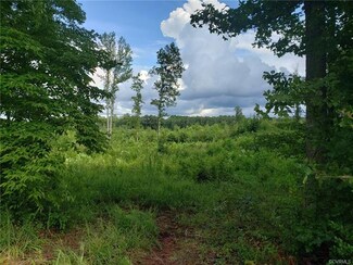 Lot 4 Boydton Plank Rd, Warfield, VA 23889