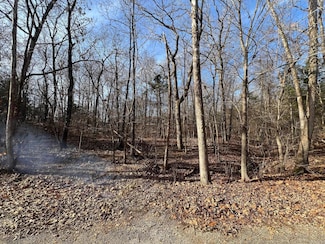 Lot 9 Kewe Dr, Cherokee Village, AR 72529