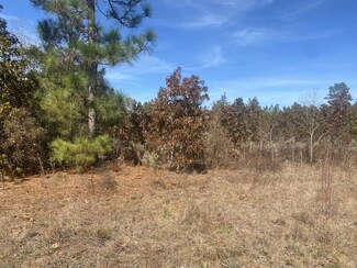 0 Whitetail Ct, Williston, SC 29853