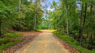 0 Baptist Branch Rd, Mount Pleasant, TN 38474