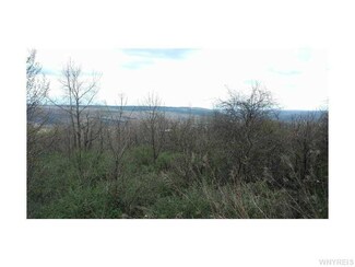 0 Carlton Rd Unit B497798, Warsaw, NY 14569