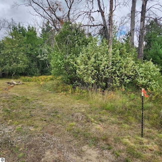 6324 W Pine Point Rd, Grayling Township, MI 49738