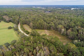 42 Josie Ridge Rd, Wadmalaw Island, SC 29487