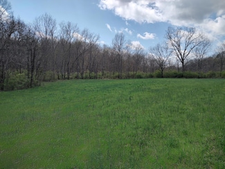1a Goose Creek Rd, Carlisle, KY 40311