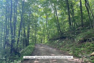 Lot 3 Sharons Rd, Franklin, NC 28734