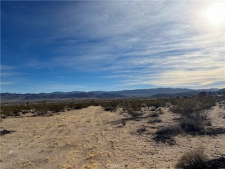 7 Bellflower Rd, Joshua Tree, CA 92252