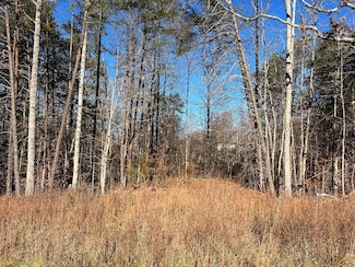 lot 10 Barrett Rd, Hardy, VA 24101