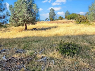 10203 El Capitan Way, Kelseyville, CA 95451