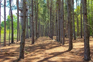 0 Spring St, Newton, AL 36352