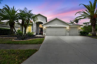 8208 Pinewood Run Ct, Tampa, FL 33647