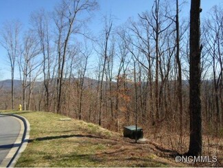 28 Samuel Ashe Dr Unit 52, Asheville, NC 28805