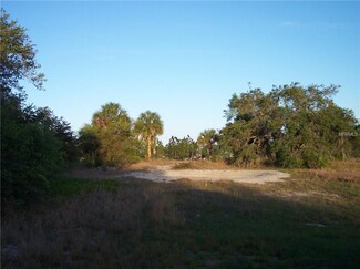 24 Tiger Creek Grove, Babson Park, FL 33827