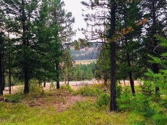TBD Tamarack View Dr Unit 2, New Meadows, ID 83654