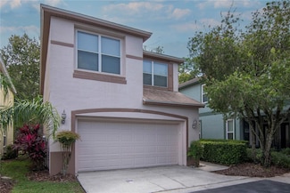 10502 Dotham Ct, Tampa, FL 33626