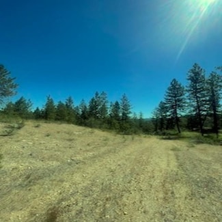 Lot 34 Bighorn Dr N, Davenport, WA 99122