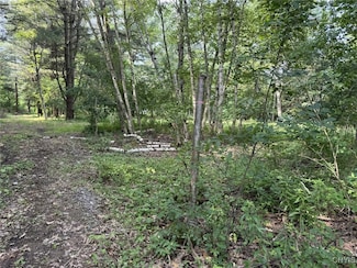 15541 Foster Park Rd, Dexter, NY 13634