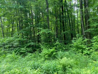 120 Acres N Branch Rd, Wittenberg, WI 54499