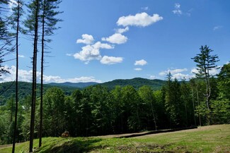 1 Carlton Hill Rd Unit A, Woodstock, VT 05091