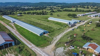 1941 Marion County 5002, Yellville, AR 72687