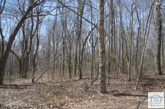 xxxx Glen Burn Ln, Meadows of Dan, VA 24120