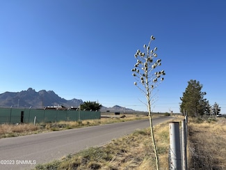 5731 Aberdeen Angus Way, Las Cruces, NM 88012
