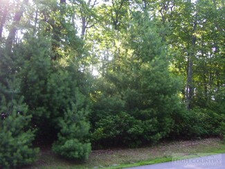0 Troon Ave Unit 39154997, Roaring Gap, NC 28668