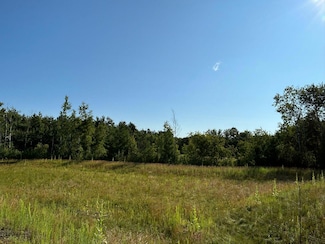 L2,Blk3 177th St NW, Orrock Township, MN 55309
