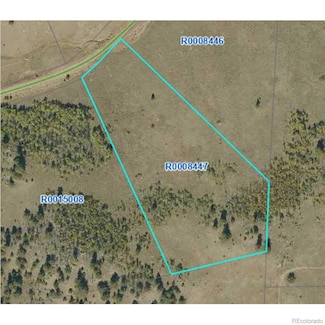 2178 Dog Chief Trail, Hartsel, CO 80449