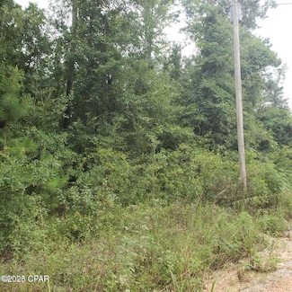 xxx Foxworth Rd, Chipley, FL 32428