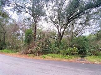 1229 NE 3rd Ave, Gainesville, FL 32641