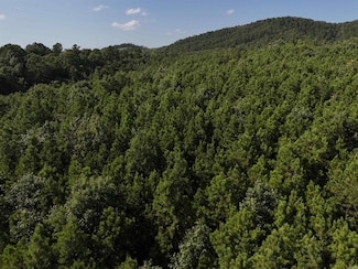 Lot 14 Polk County Road 78, Mena, AR 71953