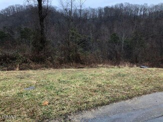 104 W Wilkshire Place, Bristol, TN 37620