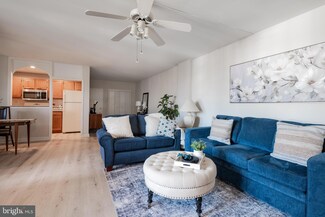 80 W Baltimore Ave Unit C505, Lansdowne, PA 19050
