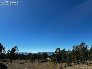 14970 Allen Ranch Rd, Black Forest, CO 80908