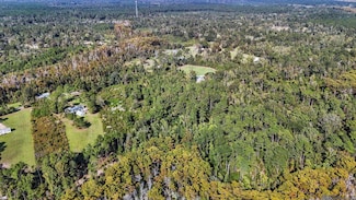 29916 Lower Rome Rd, Springfield, LA 70462