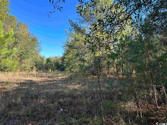 TBD Heller St Unit TBD Scott ST., Kingstree, SC 29556