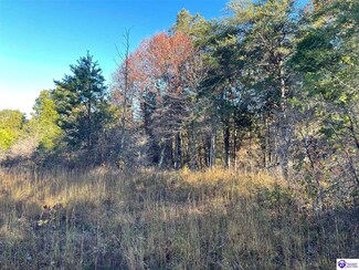 Tract 12 Little Clifty Rd, Big Clifty, KY 42712