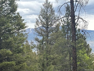 30304 Aspen Turn Unit 13, Buena Vista, CO 81211