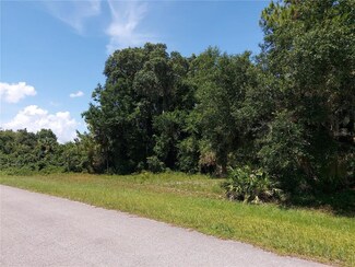 14100 SE 204 Terrace, Hawthorne, FL 32640