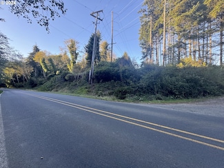 0 S Schooner Creek Rd, Lincoln City, OR 97367