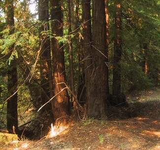 ±34 Acres Blue Slide Rd, Rio Dell, CA 95562