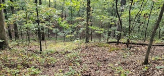 000 Stirling Access Rd, Camden, TN 38320