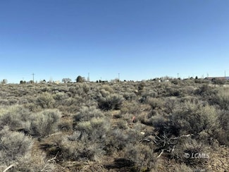 TL 100 Larch St, Christmas Valle, OR 97641