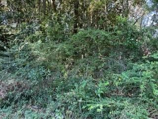 5710 Woodchase Cir W, Theodore, AL 36582