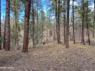 4041 Gold Dust Trail, Show Low, AZ 85901