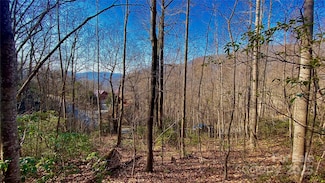 936 Acacia Ct, Black Mountain, NC 28711