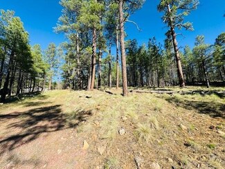 2549 Pine Valley Rd, Happy Jack, AZ 86024