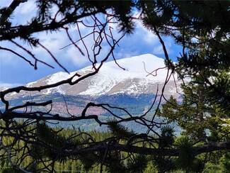 1792 Valley of the Sun Dr, Fairplay, CO 80440